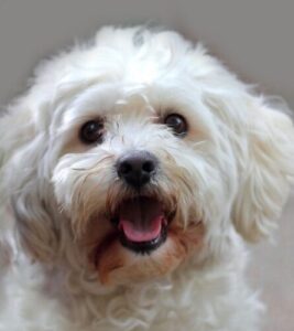 Fotógrafo: Susana Paez