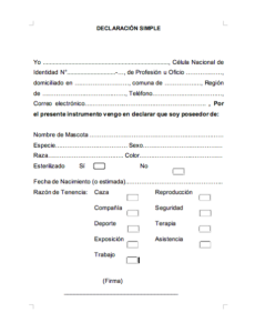 Declaración simple declarando ser dueño de tu mascota