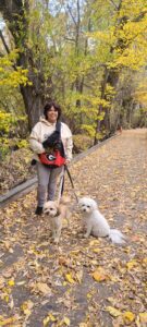 Paseando perros en Utah, USA
